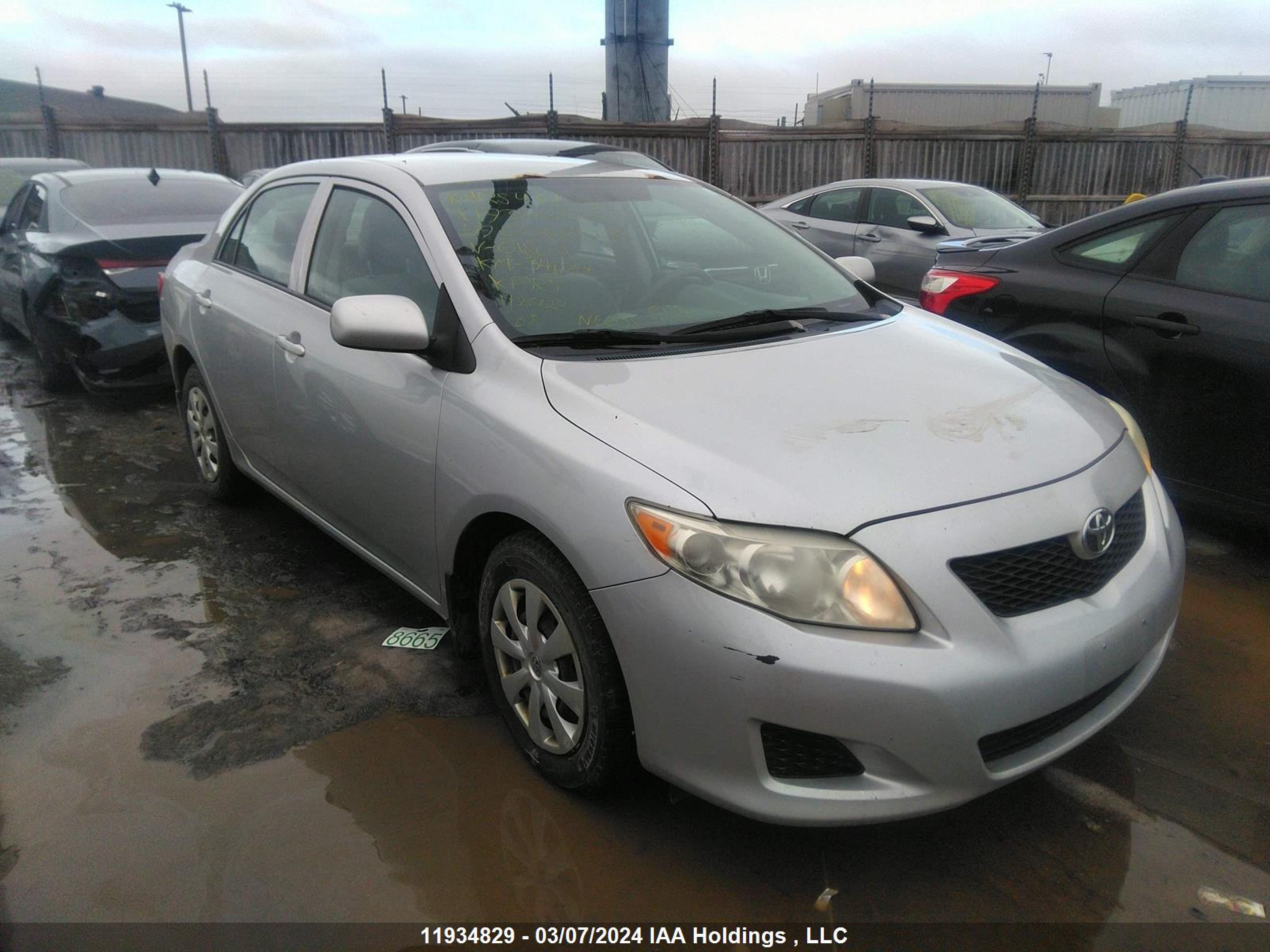 TOYOTA COROLLA 2009 2t1bu40e89c018071