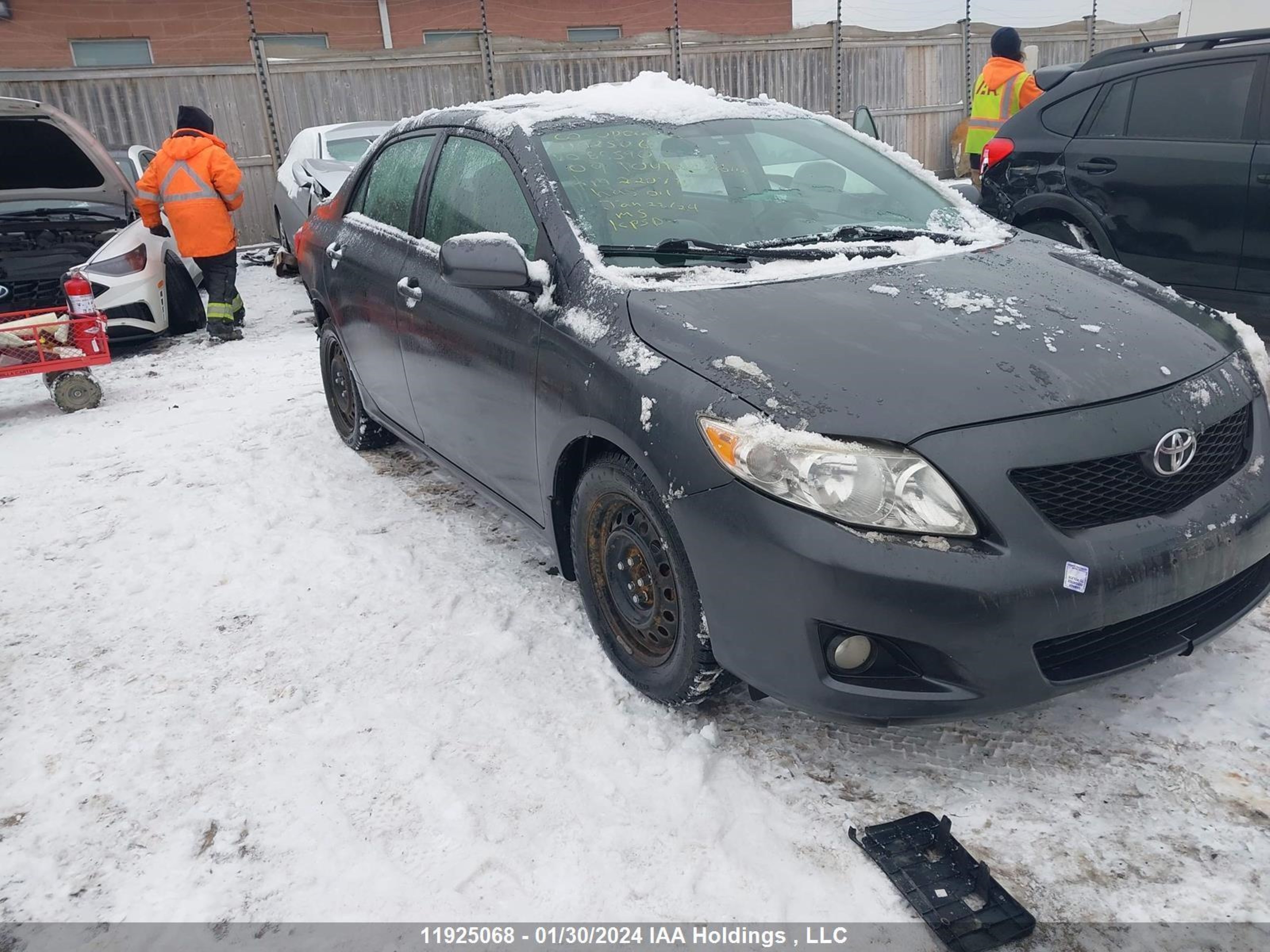 TOYOTA COROLLA 2009 2t1bu40e89c088590