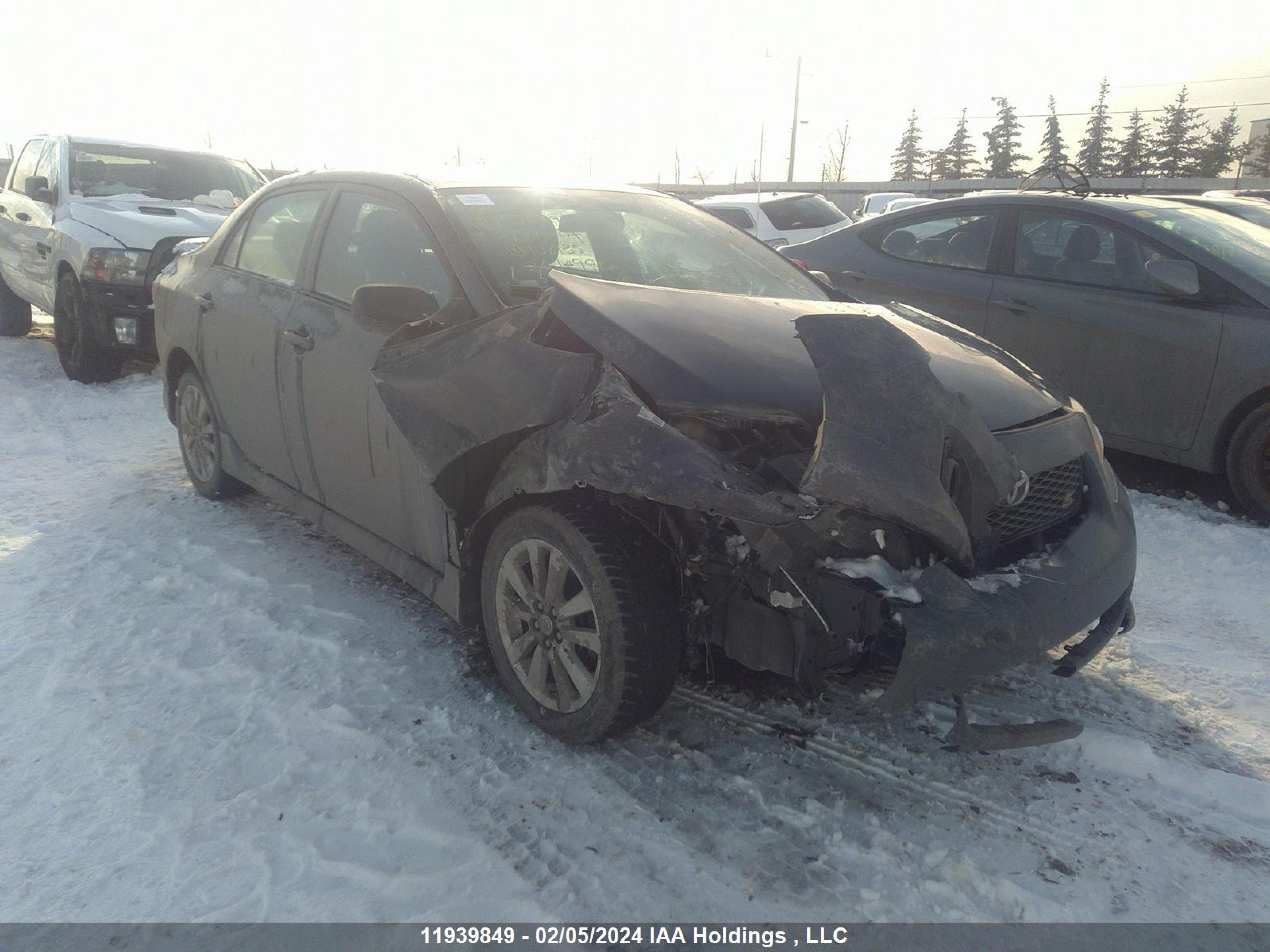 TOYOTA COROLLA 2009 2t1bu40e99c108135