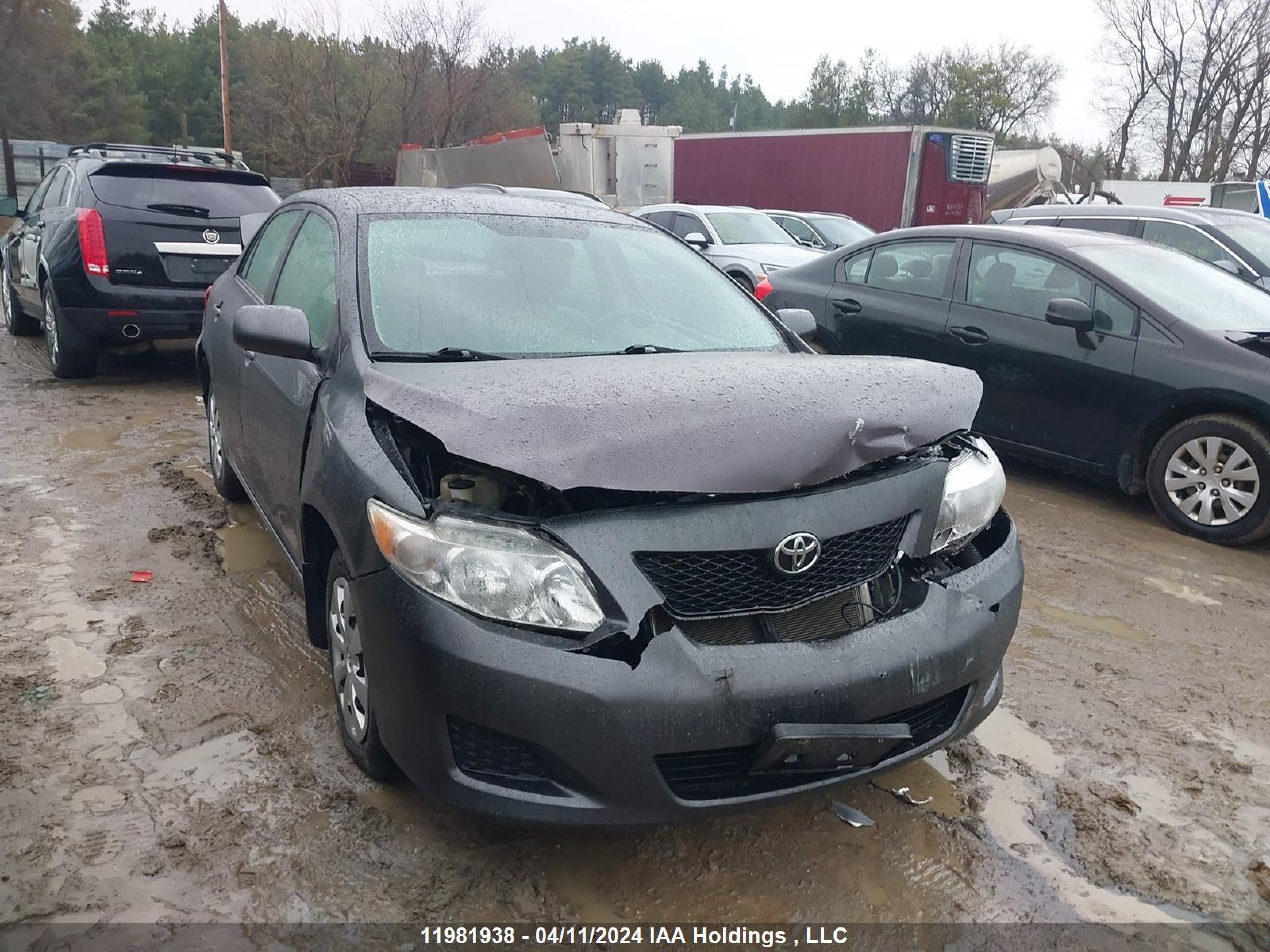 TOYOTA COROLLA 2009 2t1bu40e99c136730