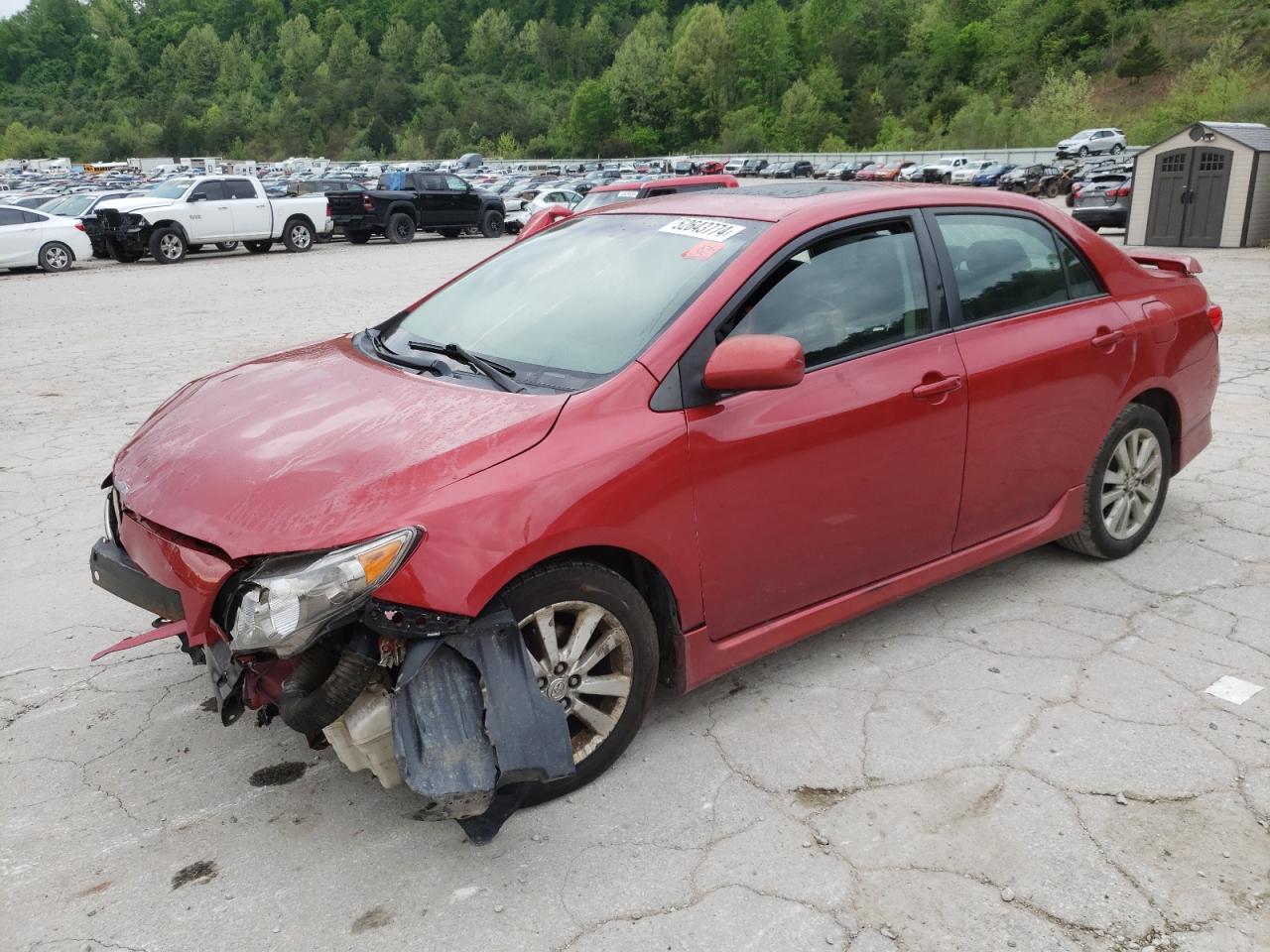 TOYOTA COROLLA 2009 2t1bu40ex9c164388