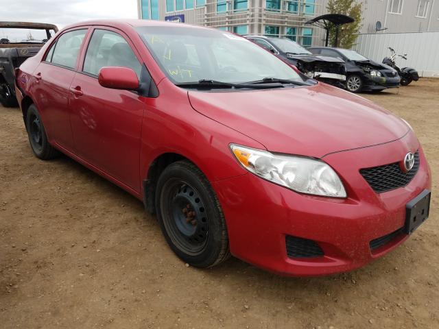 TOYOTA COROLLA BA 2010 2t1bu4ee0ac215541