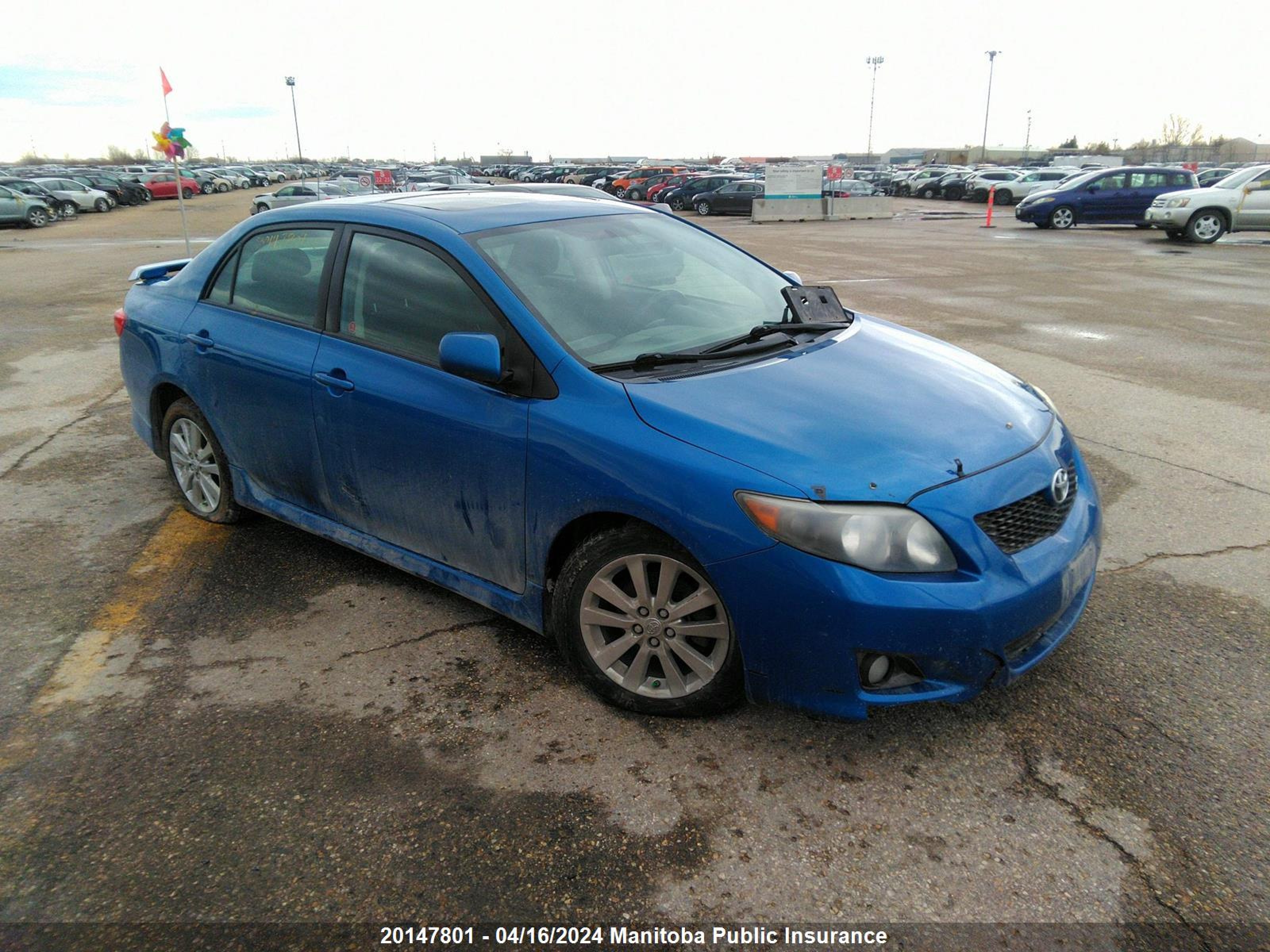 TOYOTA COROLLA 2010 2t1bu4ee0ac260446