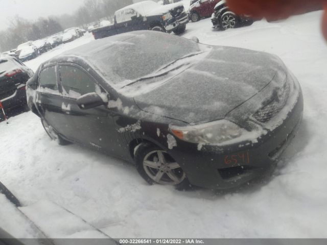 TOYOTA COROLLA 2010 2t1bu4ee0ac276386