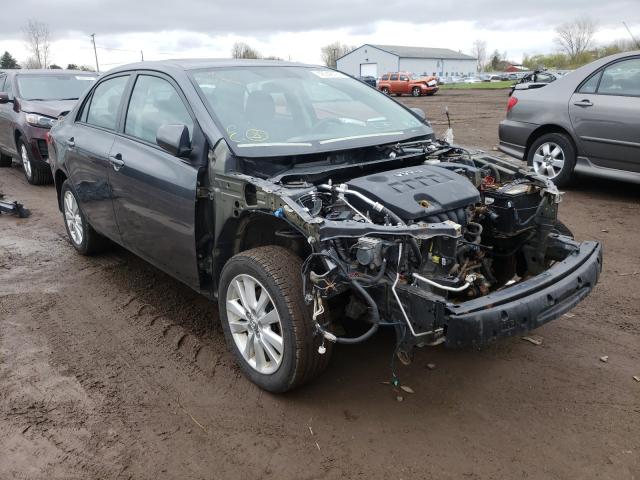 TOYOTA COROLLA BA 2010 2t1bu4ee0ac284567