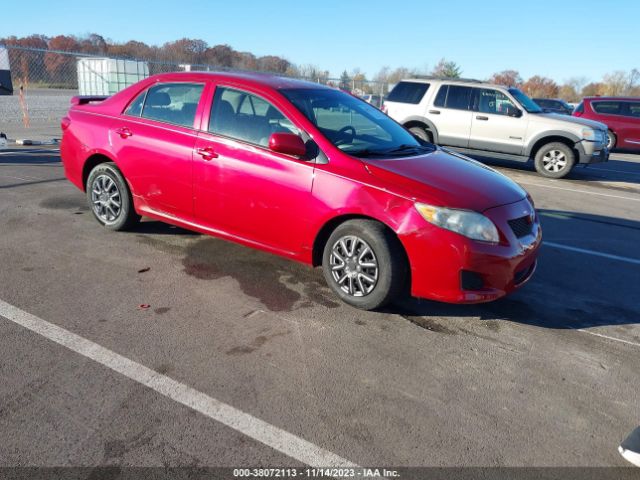 TOYOTA COROLLA 2010 2t1bu4ee0ac342936