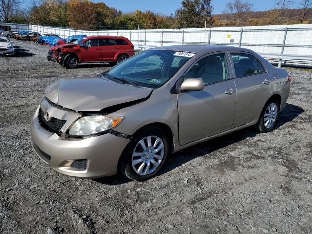 TOYOTA COROLLA 2010 2t1bu4ee0ac354732