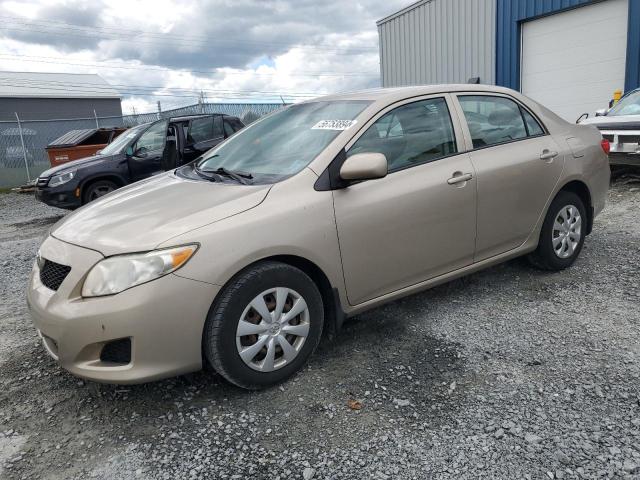 TOYOTA COROLLA 2010 2t1bu4ee0ac363706