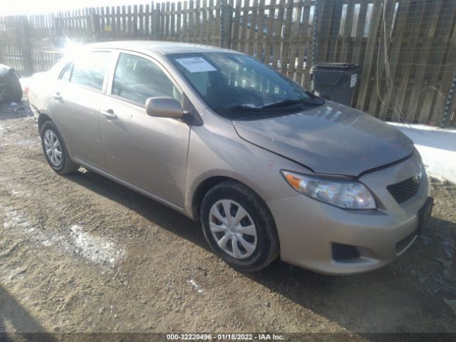 TOYOTA COROLLA 2010 2t1bu4ee0ac365939