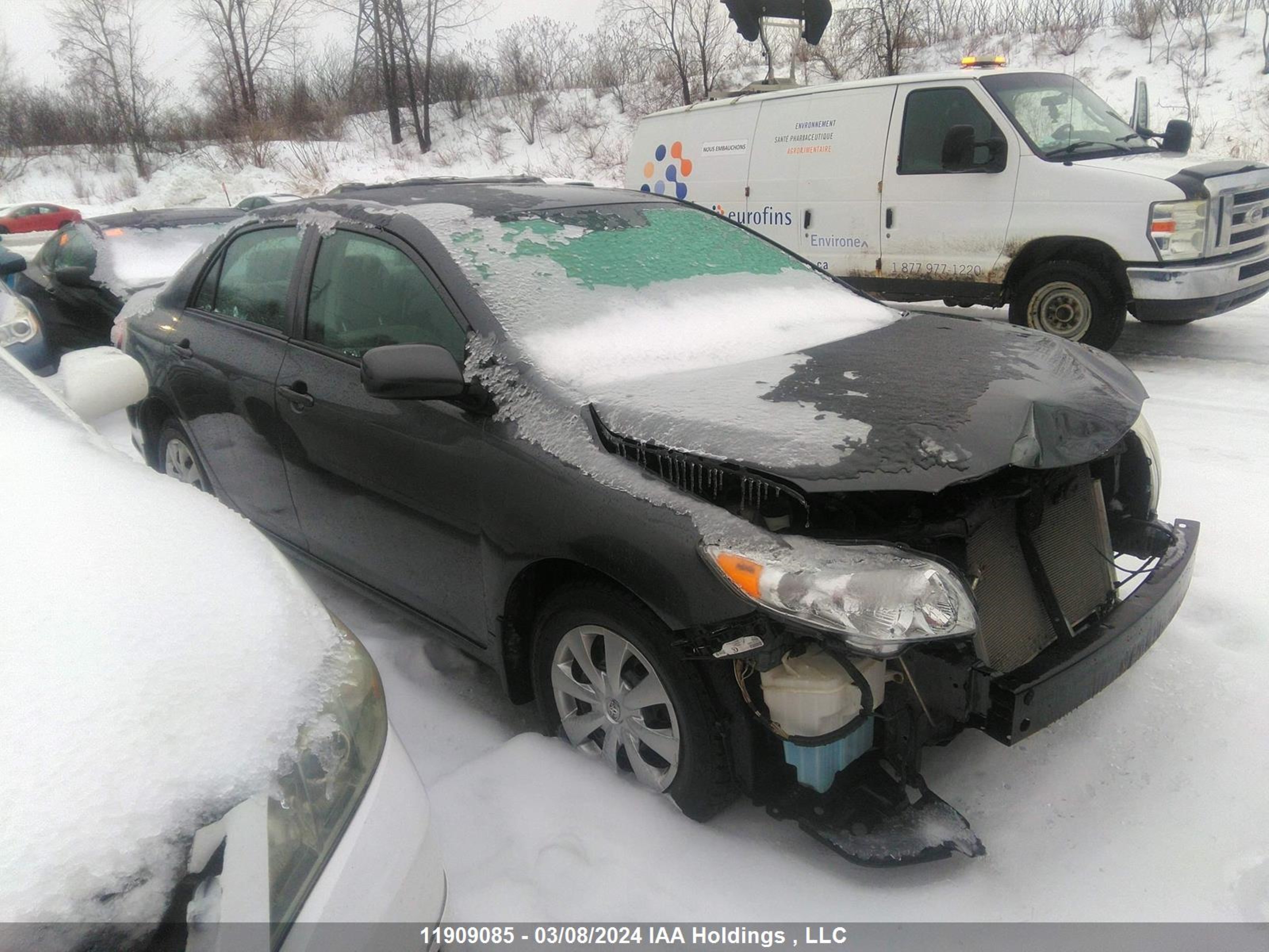 TOYOTA COROLLA 2010 2t1bu4ee0ac367559