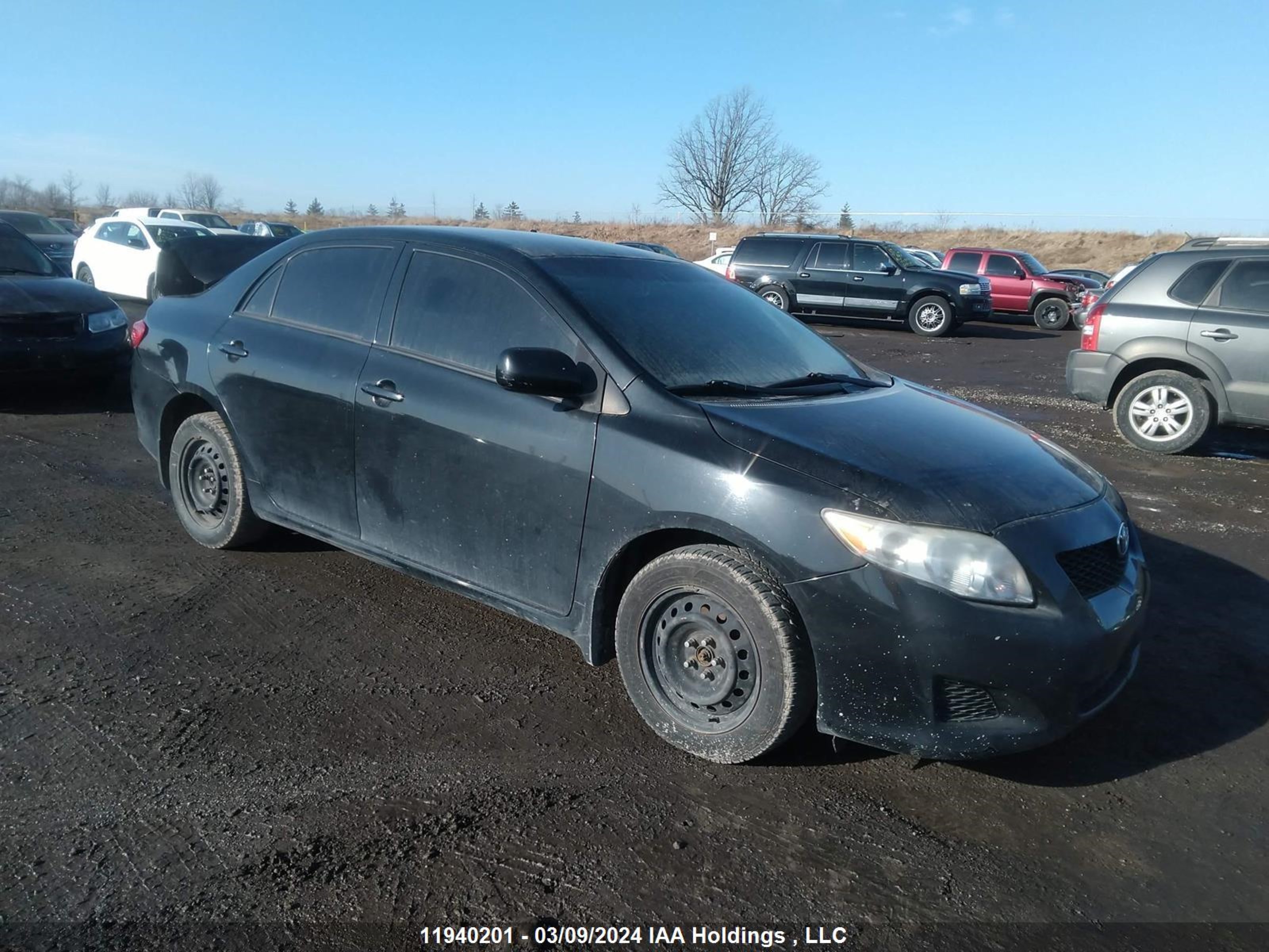 TOYOTA COROLLA 2010 2t1bu4ee0ac374012