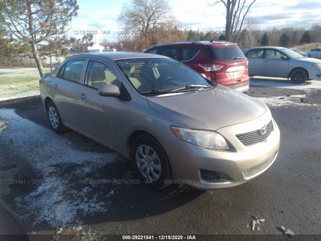 TOYOTA COROLLA 2010 2t1bu4ee0ac376889