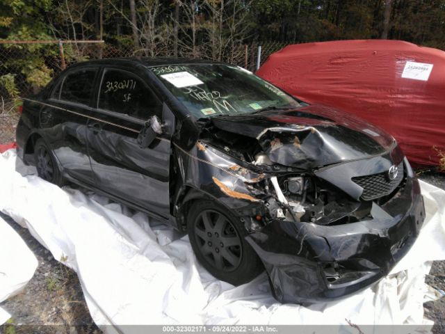 TOYOTA COROLLA 2010 2t1bu4ee0ac382076