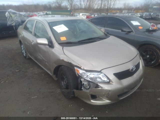 TOYOTA COROLLA 2010 2t1bu4ee0ac416100