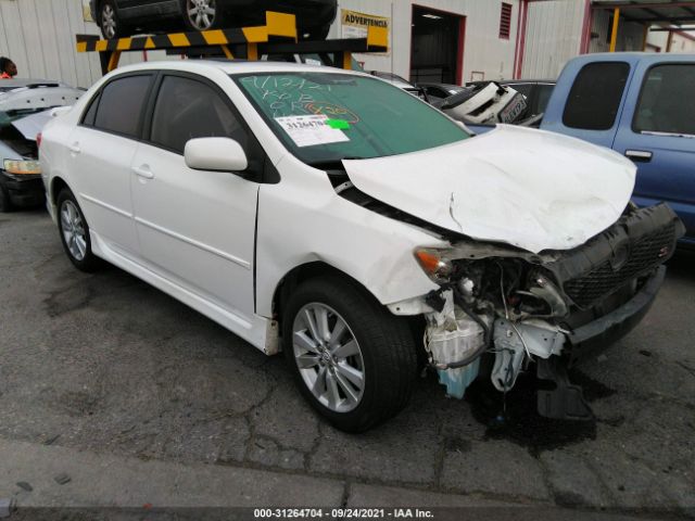 TOYOTA COROLLA 2010 2t1bu4ee0ac420714