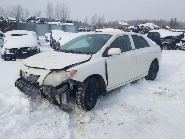 TOYOTA COROLLA BA 2010 2t1bu4ee0ac429929