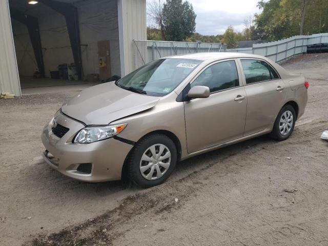 TOYOTA COROLLA BA 2010 2t1bu4ee0ac458329