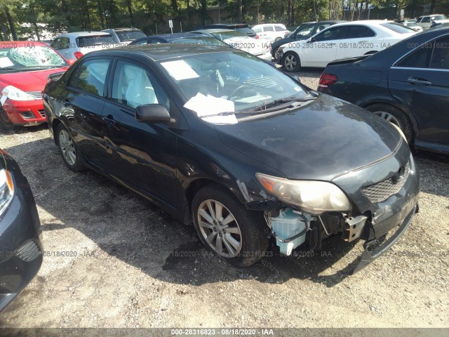 TOYOTA COROLLA 2010 2t1bu4ee0ac461828