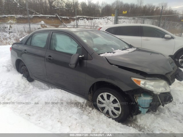 TOYOTA COROLLA 2010 2t1bu4ee0ac482484