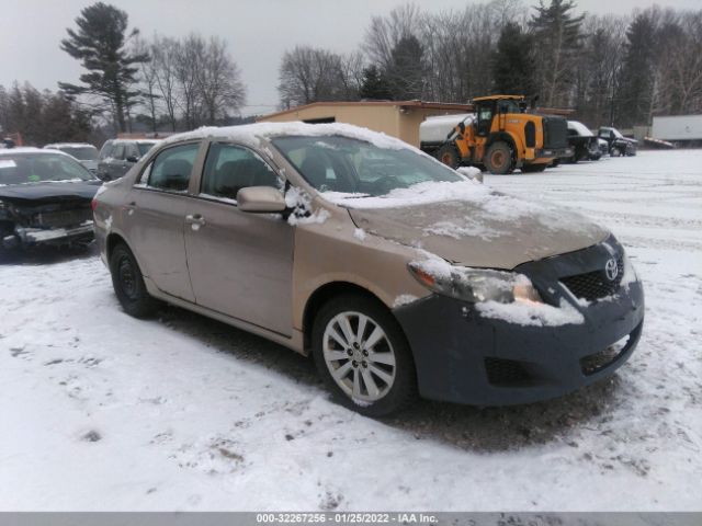 TOYOTA COROLLA 2010 2t1bu4ee0ac485501