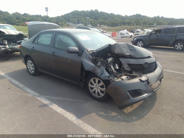 TOYOTA COROLLA 2010 2t1bu4ee0ac509411