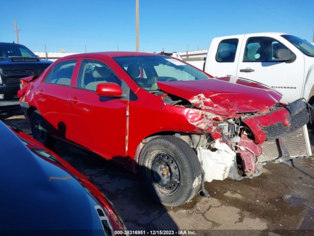 TOYOTA COROLLA 2010 2t1bu4ee0ac515600