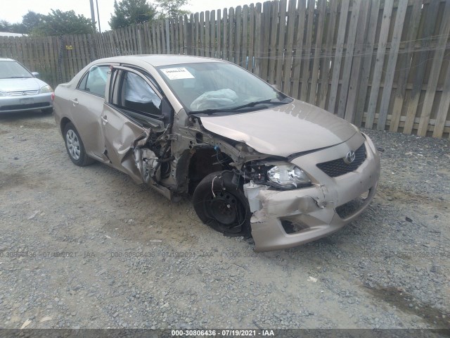 TOYOTA COROLLA 2010 2t1bu4ee0ac521011