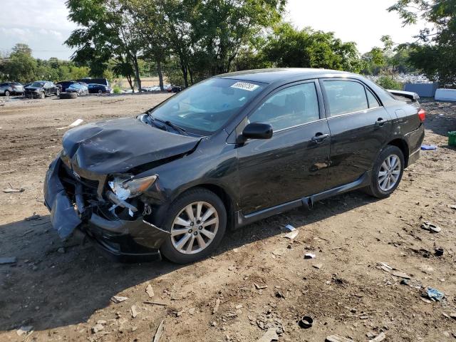 TOYOTA COROLLA BA 2010 2t1bu4ee0ac535698