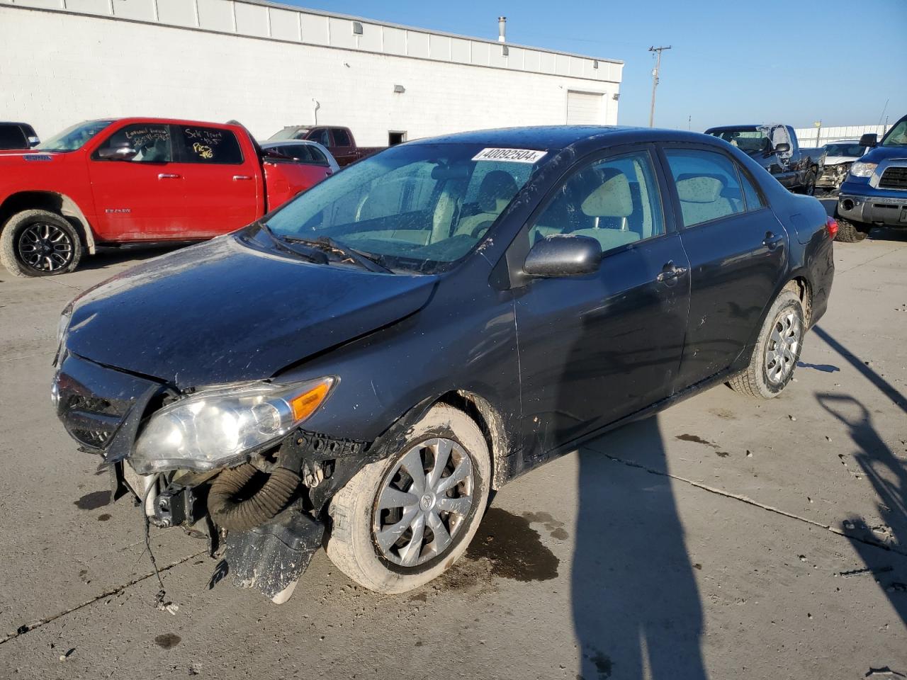 TOYOTA COROLLA 2011 2t1bu4ee0bc566838