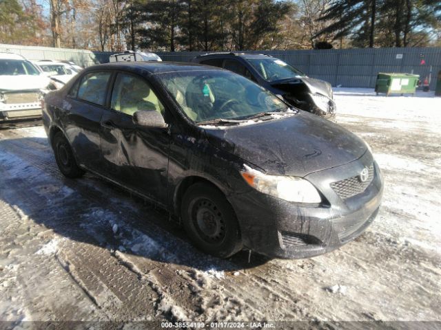 TOYOTA COROLLA 2010 2t1bu4ee1ac235104