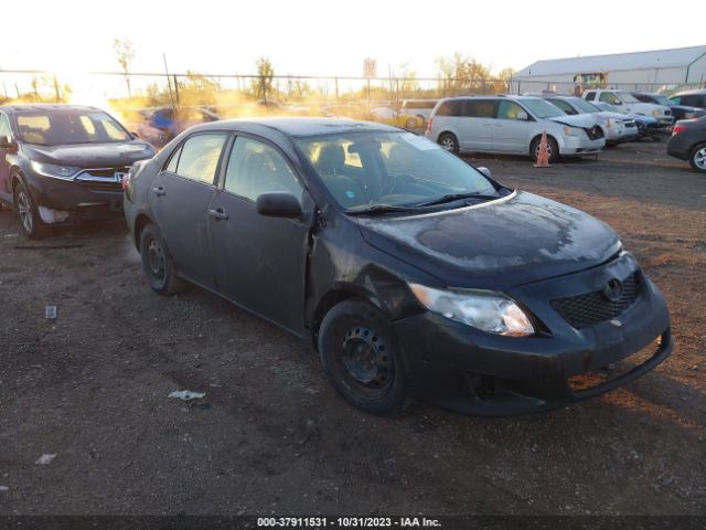 TOYOTA COROLLA 2010 2t1bu4ee1ac237497