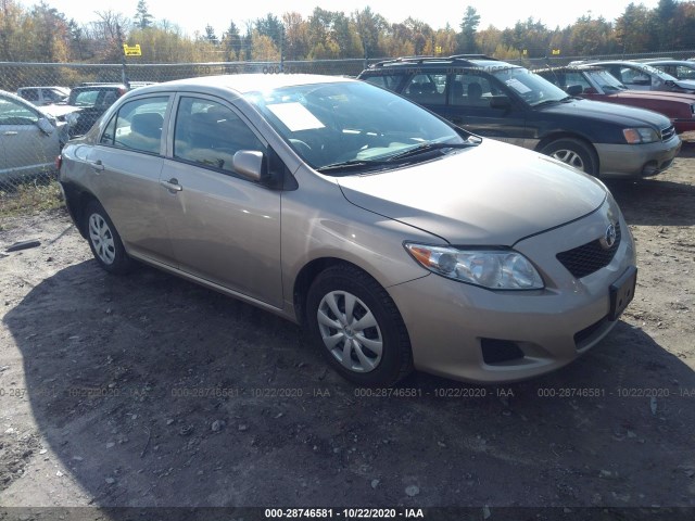 TOYOTA COROLLA 2010 2t1bu4ee1ac240951