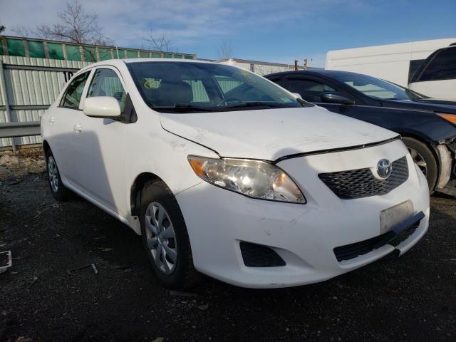 TOYOTA COROLLA 2010 2t1bu4ee1ac242893