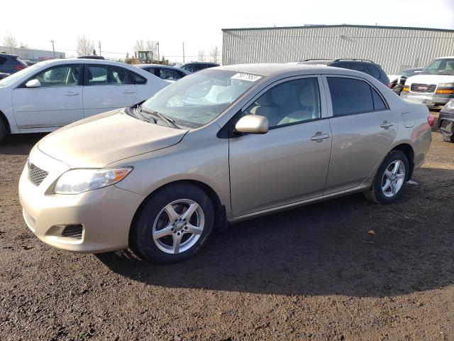 TOYOTA COROLLA 2010 2t1bu4ee1ac258124