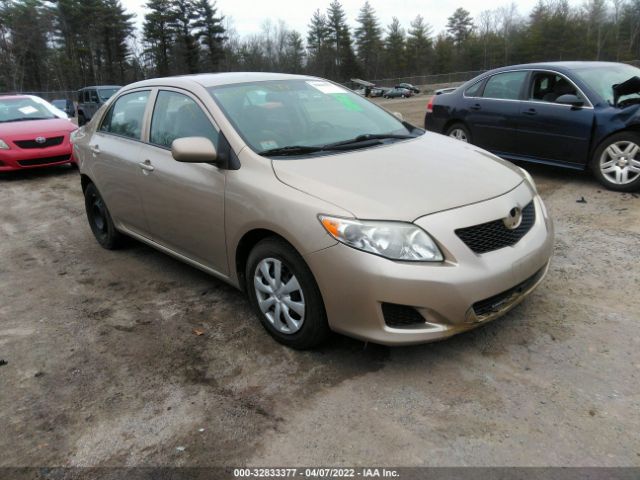 TOYOTA COROLLA 2010 2t1bu4ee1ac258365