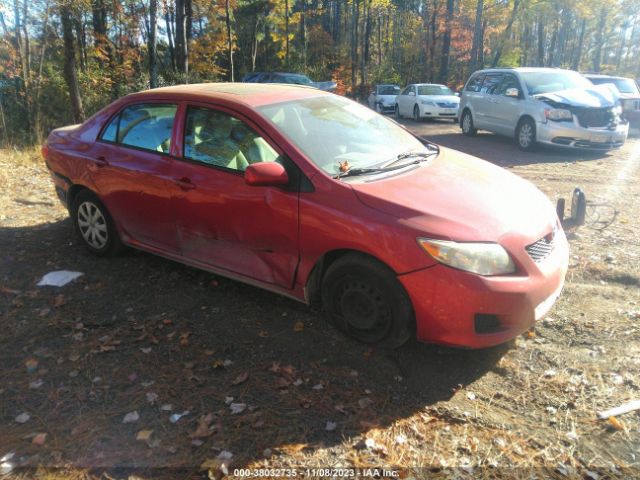 TOYOTA COROLLA 2010 2t1bu4ee1ac284481