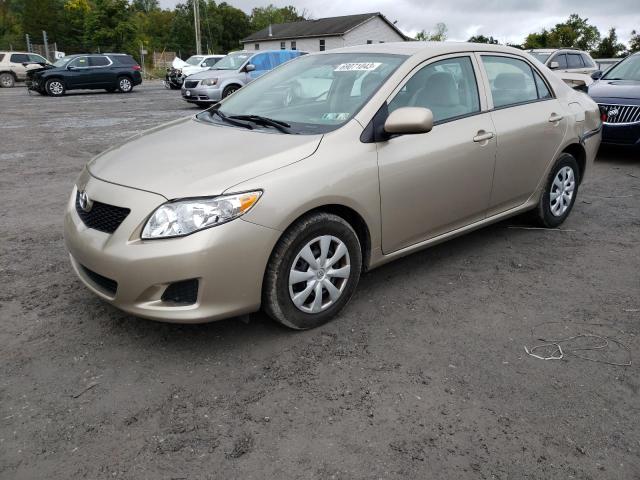 TOYOTA COROLLA BA 2010 2t1bu4ee1ac300534