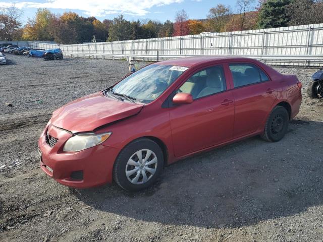 TOYOTA COROLLA 2010 2t1bu4ee1ac310433