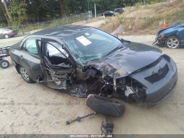 TOYOTA COROLLA 2010 2t1bu4ee1ac311727