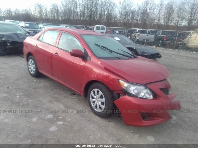 TOYOTA COROLLA 2010 2t1bu4ee1ac311842