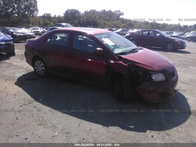 TOYOTA COROLLA 2010 2t1bu4ee1ac311985