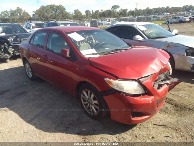 TOYOTA COROLLA 2010 2t1bu4ee1ac315051