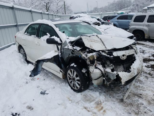 TOYOTA COROLLA BA 2010 2t1bu4ee1ac323232