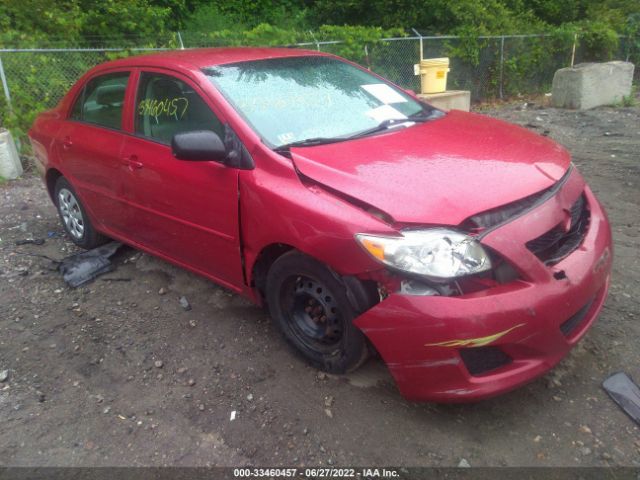 TOYOTA COROLLA 2010 2t1bu4ee1ac331900