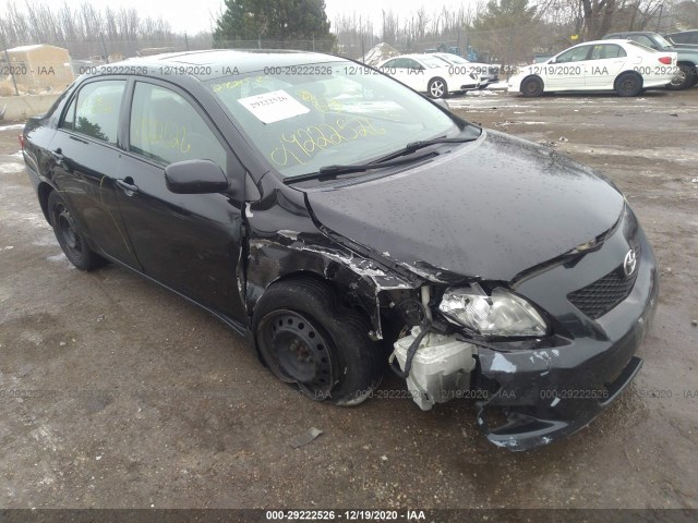 TOYOTA COROLLA 2010 2t1bu4ee1ac336742