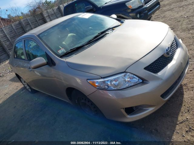 TOYOTA COROLLA 2010 2t1bu4ee1ac344162