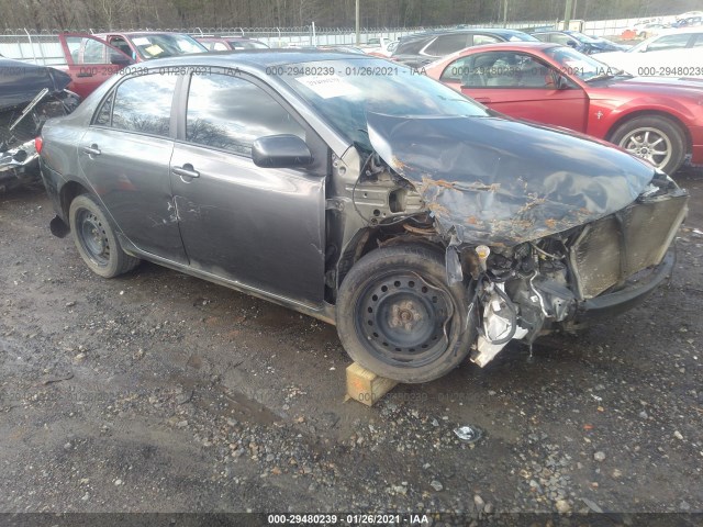 TOYOTA COROLLA 2010 2t1bu4ee1ac372057