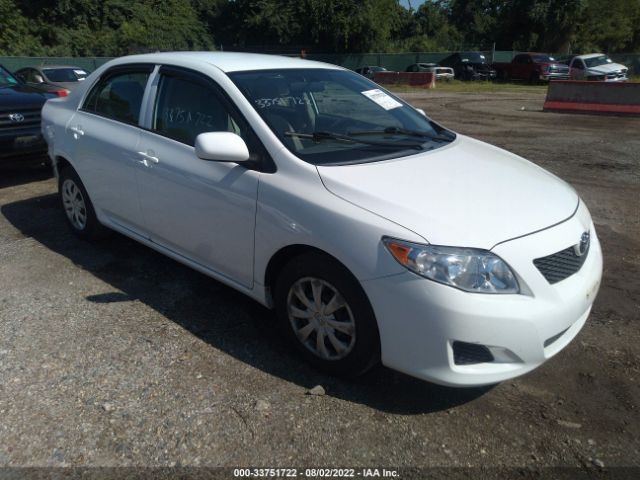 TOYOTA COROLLA 2010 2t1bu4ee1ac391661