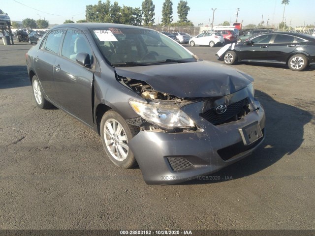 TOYOTA COROLLA 2010 2t1bu4ee1ac400584