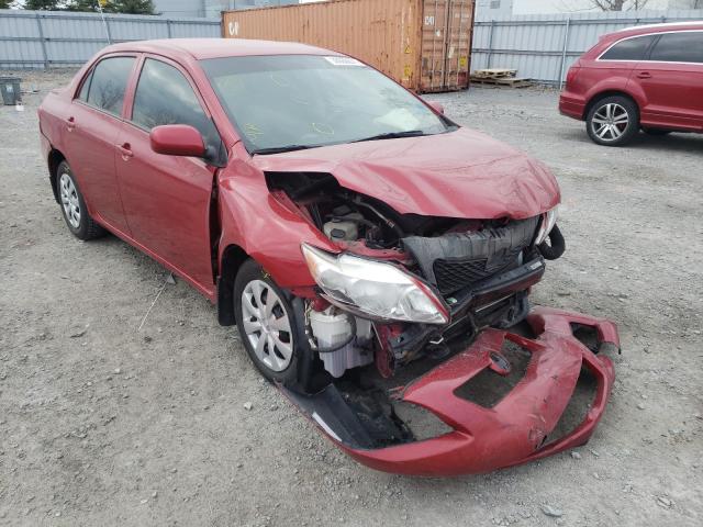 TOYOTA COROLLA BA 2010 2t1bu4ee1ac424075